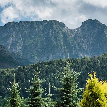 Rent Like Home - Skibowki Zakopane Kültér fotó