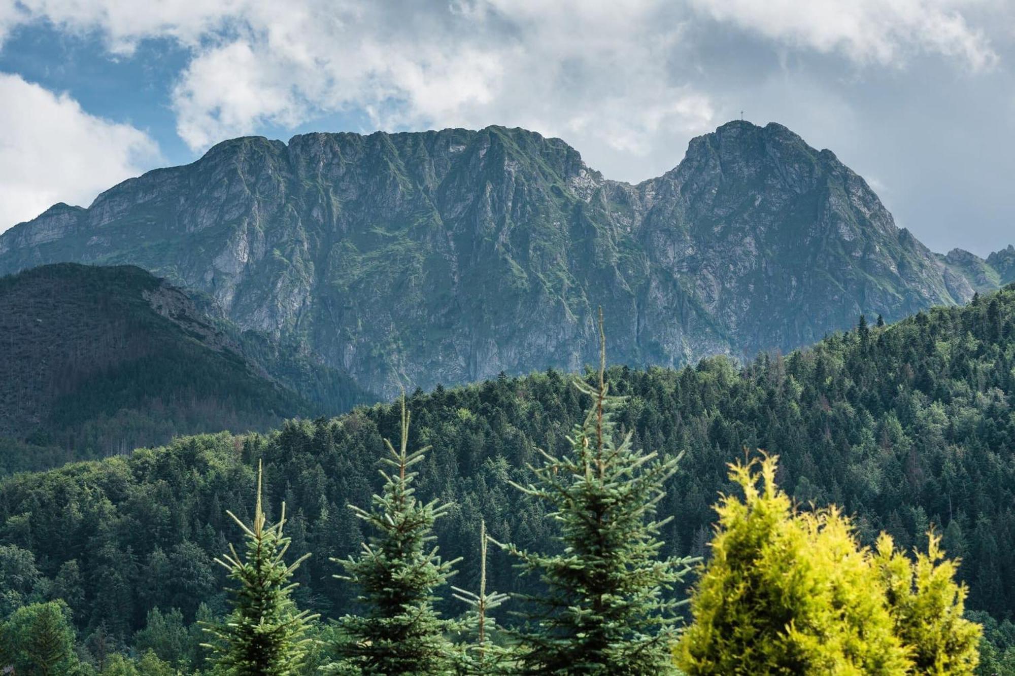 Rent Like Home - Skibowki Zakopane Kültér fotó